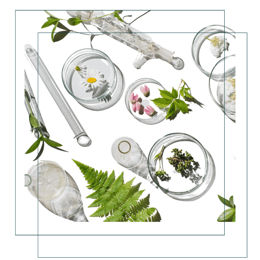 laboratoire cosmétique france ophylor